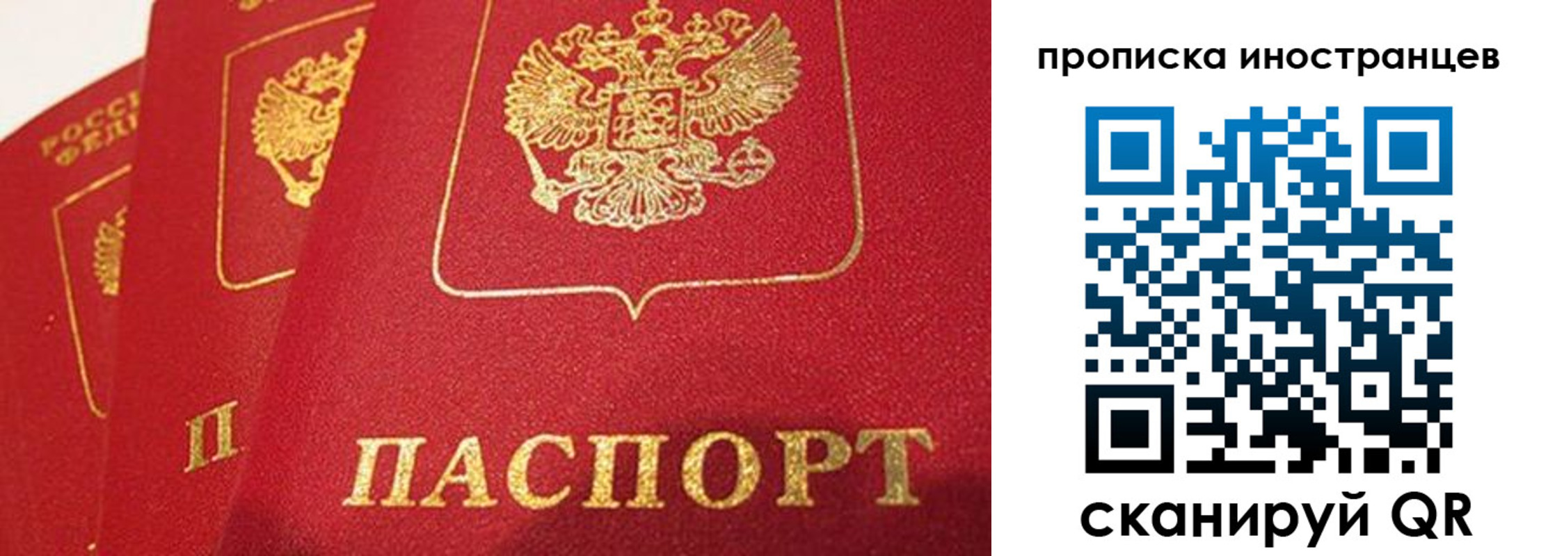 прописка для школы в Осинниках